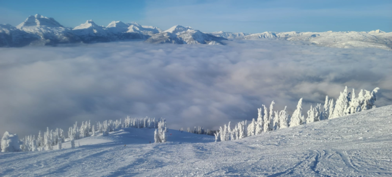 image-12-qogfnq0aninc3u4n1mee6pkc6qv54p4a5u8cw8816o